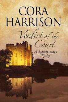 Verdict of the Court: A mystery set in sixteenth-century Ireland (A Burren Mystery) Read online