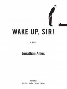 Wake Up, Sir!: A Novel Read online