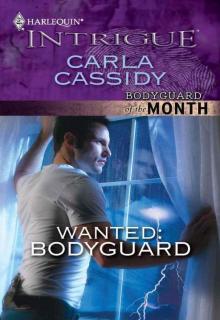 Wanted: Bodyguard Read online