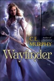 Wayfinder w-2 Read online