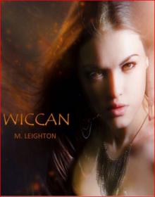 Wiccan, A Witchy Young Adult Paranormal Romance Read online
