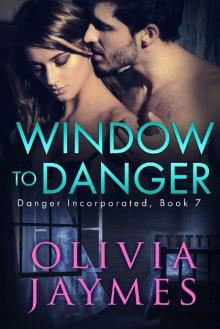 Window to Danger (Danger Incorporated Book 7) Read online