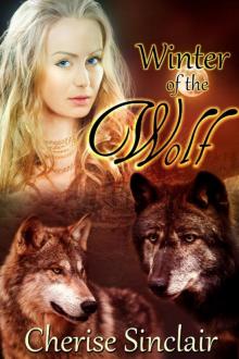 Winter of the Wolf (Hunt 2)