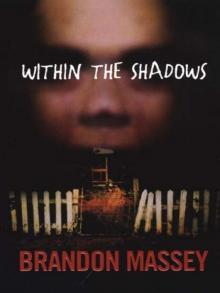 Within the Shadows Read online
