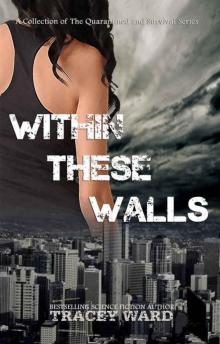 Within These Walls: Series Box Set Read online