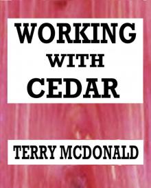 Working With Cedar: A Post Apocalyptic Tale Read online