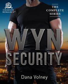 Wyn Security Read online