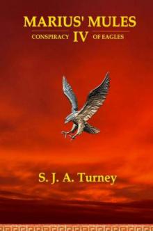 4.Conspiracy of Eagles Read online