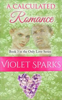 A Calculated Romance Read online