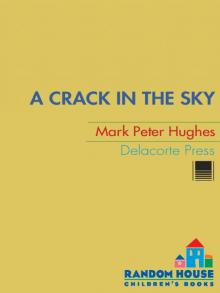 A Crack in the Sky Read online