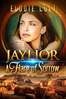 A Flare Of Sorrow Read online