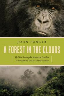 A Forest in the Clouds Read online