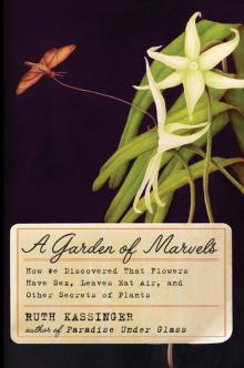 A Garden of Marvels Read online