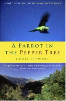 A Parrot in the Pepper Tree Read online