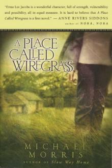 A Place Called Wiregrass Read online