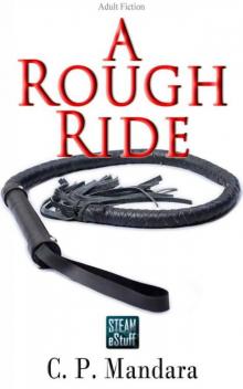 A Rough Ride: Pony girl training in latex and leather (Pony Tales Book 5)
