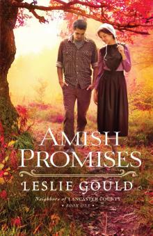 Amish Promises Read online