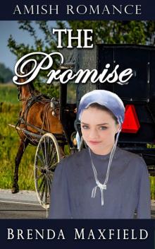 Amish Romance: The Promise (Hollybrook Amish Romance: Greta's Story Book 2) Read online