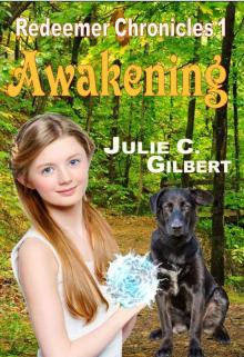 Awakening (Redeemer Chronicles Book 1) Read online