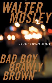 Bad Boy Brawly Brown Read online