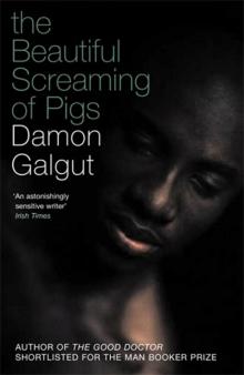 Beautiful Screaming of Pigs Read online