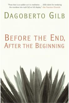 Before the End, After the Beginning Read online