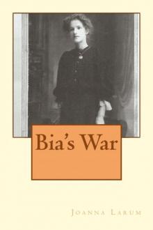 Bia's War Read online