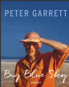 Big Blue Sky Read online