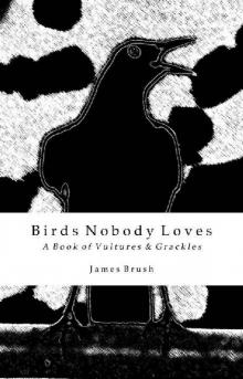 Birds Nobody Loves Read online