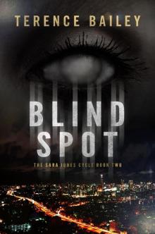 Blind Spot Read online