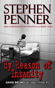 By Reason of Insanity (David Brunelle Legal Thriller Series Book 3) Read online