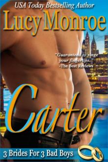 Carter (A 3 Brides for 3 Bad Boys Novella) Read online