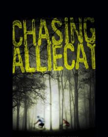 Chasing AllieCat