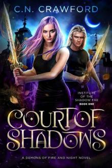 Court of Shadows: (A Demons of Fire and Night Novel) (Institute of the Shadow Fae Book 1)