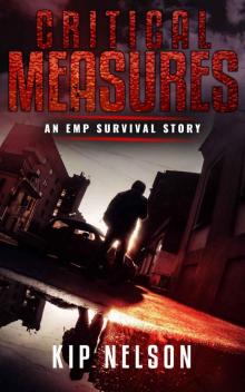 Critical Measures (Beyond the Collapse Book 4)