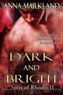 Dark and Bright Read online
