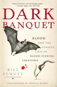 Dark Banquet: Blood and the Curious Lives of Blood-Feeding Creatures Read online