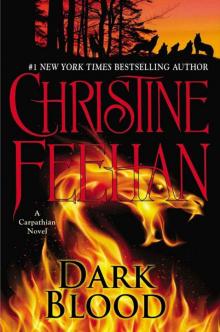 Dark Blood (Dark Series Book 26) Read online
