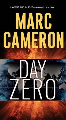 Day Zero Read online