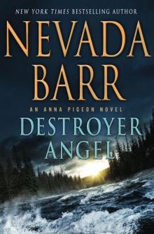 Destroyer Angel: An Anna Pigeon Novel (Anna Pigeon Mysteries) Read online