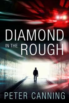 Diamond in the Rough Read online