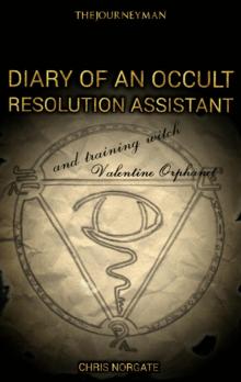 Diary Of An Occult Resolution Assistant Read online