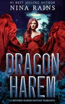 Dragon Harem: A Reverse Harem Fantasy Romance