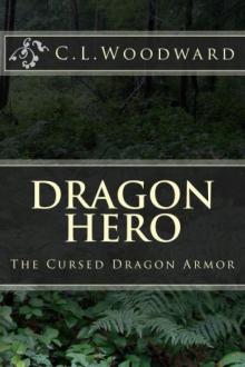 Dragon Hero