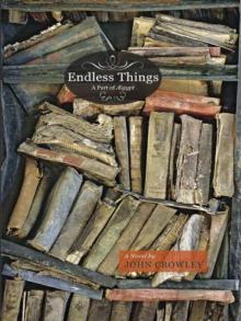 Endless Things: A Part of AEgypt Read online