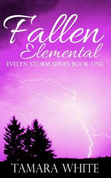 Fallen Elemental (Evelyn Storm Series Book 1) Read online