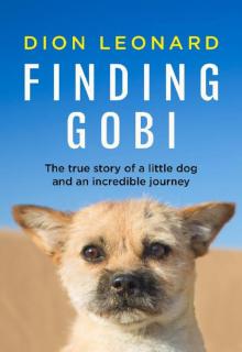 Finding Gobi Read online