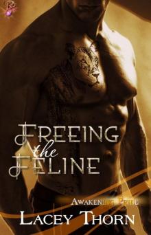 Freeing the Feline Read online