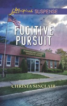 Fugitive Pursuit Read online