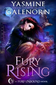 Fury Rising (Fury Unbound Book 1)